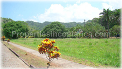 Hermosa for sale, Hermosa beach, lots for sale, Costa Rica Hermosa, Hermosa investment, 1697