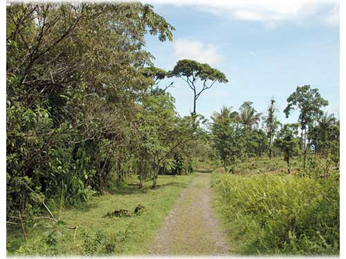 guapiles, land for sale, development opportunity, lots, jungle, heredia, mountain properties