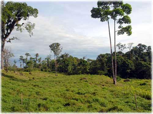 guapiles, land for sale, development opportunity, lots, jungle, heredia, mountain properties