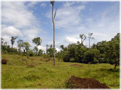 guapiles, land for sale, development opportunity, lots, jungle, heredia, mountain properties