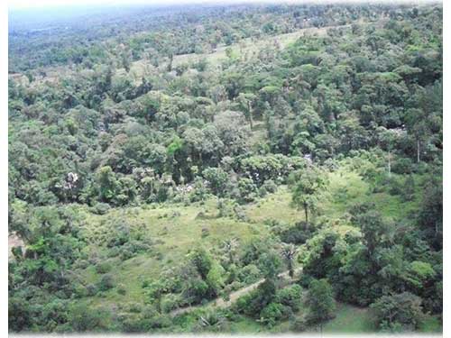 guapiles, land for sale, development opportunity, lots, jungle, heredia, mountain properties