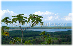 Costa Rica land for sale, beach, Dominical real estate, Puntarenas, 360 degree view, surfers, travellers, tropical, rich, river view, mountain view, ocean view,1510