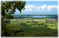 Costa Rica land for sale, beach, Dominical real estate, Puntarenas, 360 degree view, surfers, travellers, tropical, rich, river view, mountain view, ocean view