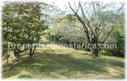 Costa Rica land for sale, beach, Dominical real estate, Puntarenas, 360 degree view, surfers, travellers, tropical, rich, river view, mountain view, ocean view,1510