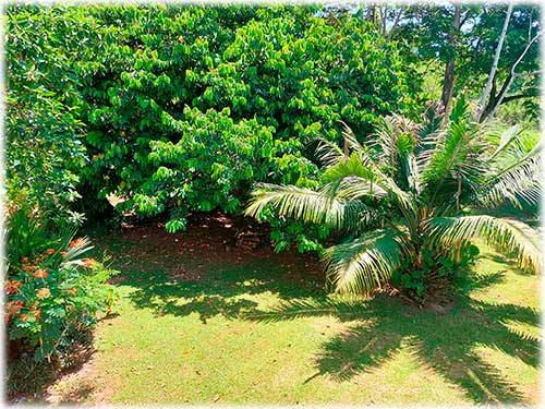 Cahuita real estate, Costa Rica Caribbean coast property, home for sale near Cahuita, Costa Rica pool home, vacation rental property Costa Rica, investment property Caribbean Costa Rica, two-story hom