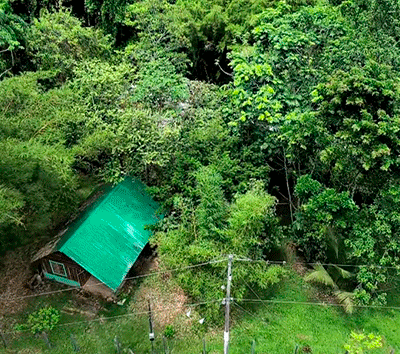 The Peaceful Sanctuary's Cottage - minutes from hot springs and beaches