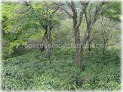 European house in Costa Rica, European style, french style house, french toscanca, for sale, 1731