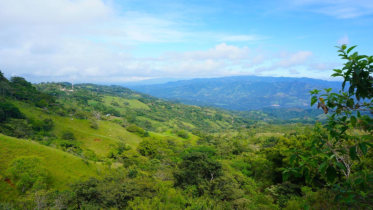 Costa Rica Screaming Land Deal of a Lifetime!