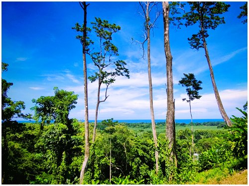 Ocean view lots Costa Rica, seaview land Caribbean Costa Rica, residential lots Puerto Viejo, land for sale Cahuita, Costa Rica Caribbean real estate, ocean view land Costa Rica, flat lots Costa Rica