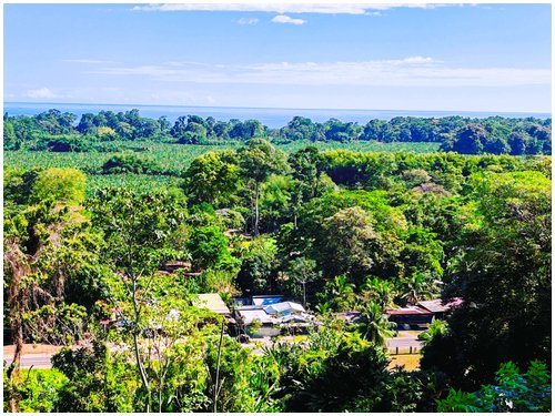 Ocean view lots Costa Rica, seaview land Caribbean Costa Rica, residential lots Puerto Viejo, land for sale Cahuita, Costa Rica Caribbean real estate, ocean view land Costa Rica, flat lots Costa Rica
