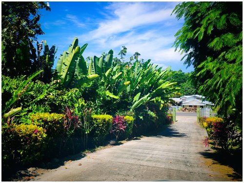 Ocean view lots Costa Rica, seaview land Caribbean Costa Rica, residential lots Puerto Viejo, land for sale Cahuita, Costa Rica Caribbean real estate, ocean view land Costa Rica, flat lots Costa Rica