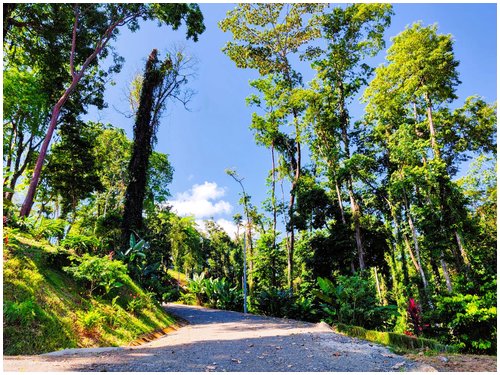 Ocean view lots Costa Rica, seaview land Caribbean Costa Rica, residential lots Puerto Viejo, land for sale Cahuita, Costa Rica Caribbean real estate, ocean view land Costa Rica, flat lots Costa Rica