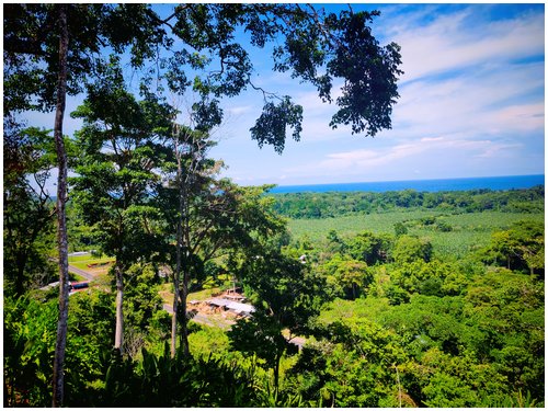 Ocean view lots Costa Rica, seaview land Caribbean Costa Rica, residential lots Puerto Viejo, land for sale Cahuita, Costa Rica Caribbean real estate, ocean view land Costa Rica, flat lots Costa Rica