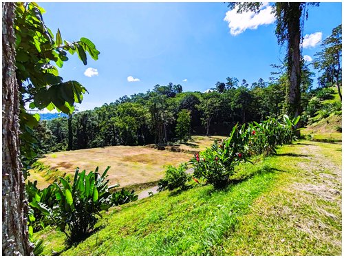 Ocean view lots Costa Rica, seaview land Caribbean Costa Rica, residential lots Puerto Viejo, land for sale Cahuita, Costa Rica Caribbean real estate, ocean view land Costa Rica, flat lots Costa Rica