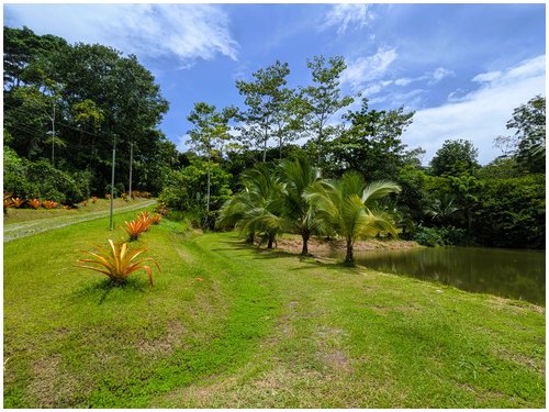 Land for sale Costa Rica, Puerto Viejo real estate, Punta Uva land, gated community Costa Rica, Caribbean coast property, titled land for sale, forest lot Costa Rica, owner financing Costa Rica, build