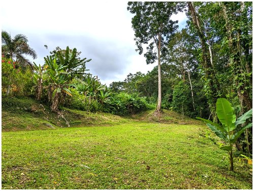 Land for sale Costa Rica, Puerto Viejo real estate, Punta Uva land, gated community Costa Rica, Caribbean coast property, titled land for sale, forest lot Costa Rica, owner financing Costa Rica, build