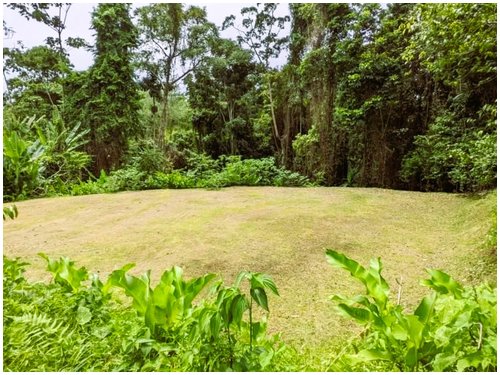 Land for sale Costa Rica, Puerto Viejo real estate, Punta Uva land, gated community Costa Rica, Caribbean coast property, titled land for sale, forest lot Costa Rica, owner financing Costa Rica, build