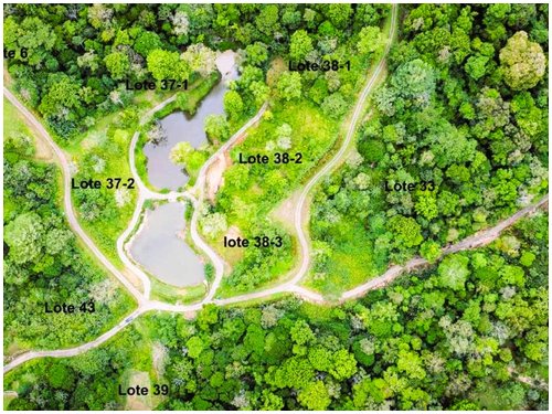 Land for sale Costa Rica, Puerto Viejo real estate, Punta Uva land, gated community Costa Rica, Caribbean coast property, titled land for sale, forest lot Costa Rica, owner financing Costa Rica, build