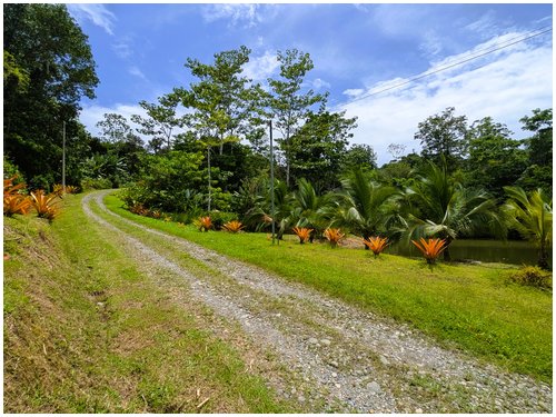 Land for sale Costa Rica, Puerto Viejo real estate, Punta Uva land, gated community Costa Rica, Caribbean coast property, titled land for sale, forest lot Costa Rica, owner financing Costa Rica, build