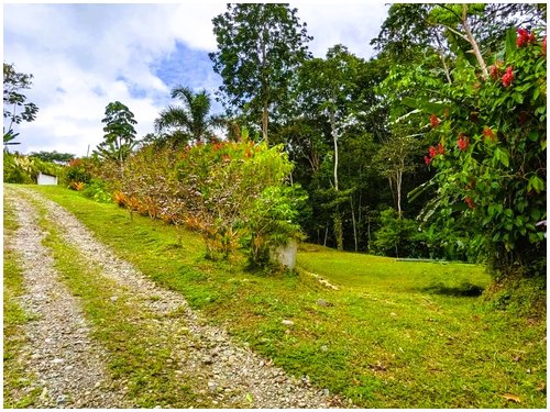 Land for sale Costa Rica, Puerto Viejo real estate, Punta Uva land, gated community Costa Rica, Caribbean coast property, titled land for sale, forest lot Costa Rica, owner financing Costa Rica, build