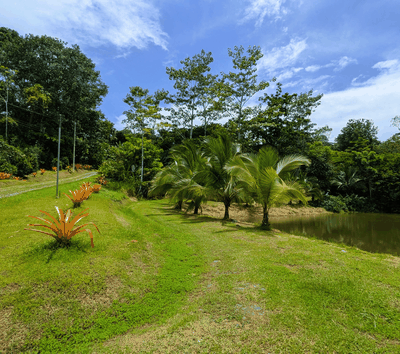 Land in Gated Community, Owner Financing available