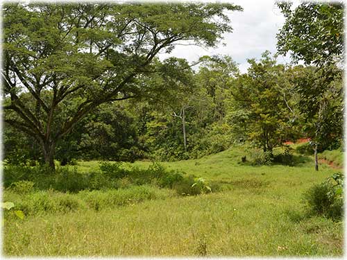 mountain, land for sale, investment, residential, commercial, sierpe river, Puntarenas