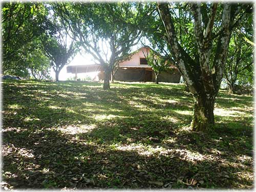 fresh air, turrubares, mountain properties, small retreat, city property, for sale, alajuela