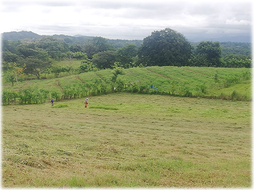 alajuela, land, development, ecological, sustainable living, lots, for sale