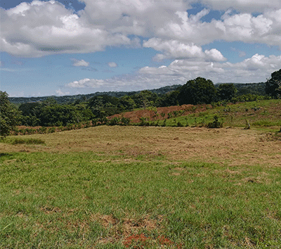 Riverside Serenity Paradise of San Mateo: Tranquil Property in Costa Rica's Fruit Tree Haven