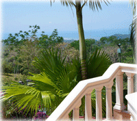 Luxury Mansion on 3.5 Acres of Private Land with Ocean Views, Waterfall and Guest Cabin. Must Sell!