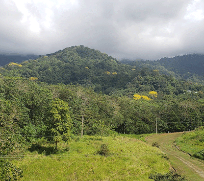 Land for sale in Costa Rica