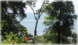 Costa Rica Real Estate, Dominical Costa Rica, for sale, beachfront, oceanfront, house, large, acreage, hectares, land, investment, 1873