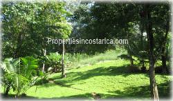 Costa Rica Real Estate, Dominical Costa Rica, for sale, beachfront, oceanfront, house, large, acreage, hectares, land, investment, 1873