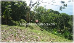 Costa Rica Real Estate, Dominical Costa Rica, for sale, beachfront, oceanfront, house, large, acreage, hectares, land, investment, 1873