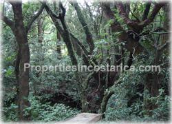 Heredia for sale, mountain home, Heredia real estate, jacuzzi, large, forest, park, horse stables, lots, paradise, waterfalls, fish ponds, bridges, valley view, natural, grand estate, Costa Rica mountain, 1475