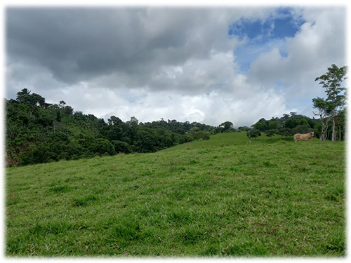 uvita, dominical, waterfalls, spring, development, investment, land for sale, nature, south pacific, costa rica, mountain views, valley views