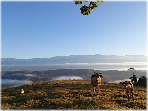 uvita, dominical, waterfalls, spring, development, investment, land for sale, nature, south pacific, costa rica, mountain views, valley views