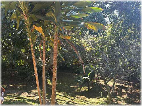 escazu, city homes, central valley