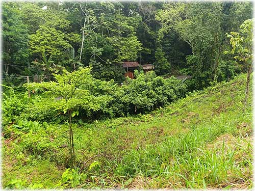road access, manzanillo, caribbean, caribe, for sale, land for sale, investment opportunity