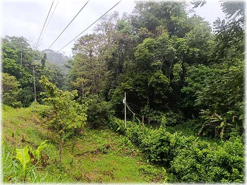 road access, manzanillo, caribbean, caribe, for sale, land for sale, investment opportunity