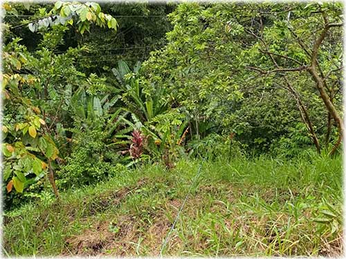 road access, manzanillo, caribbean, caribe, for sale, land for sale, investment opportunity