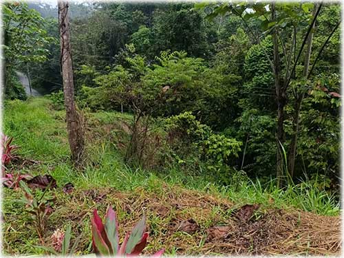 road access, manzanillo, caribbean, caribe, for sale, land for sale, investment opportunity