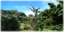 Costa Rica land for sale, Costa Rica real estate, development, investment opportunity, valley view, mountain land, acreage, 1812