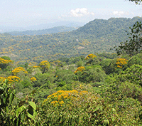 Be Revitalized With This 3.5 Acre Property on the South Pacific Coast