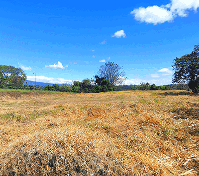  Sumptuous flat land surrounded by breathtaking views. Perfect for an incredible home, or for passive income rental apartments.     