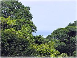 costa rica real estate, for sale, dominical real estate, properties in dominical, beach, mountain, homes, condos, ocean view,