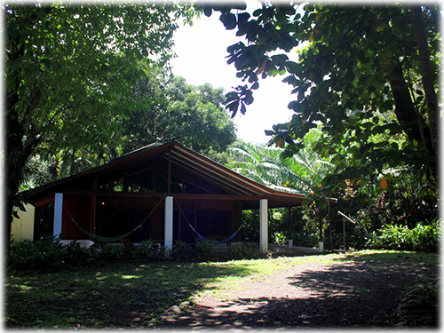 dominical, for sale, retreat, surf, jungle trees, homes, beach, ocean