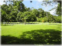 Surfside Fruit Orchard Lot