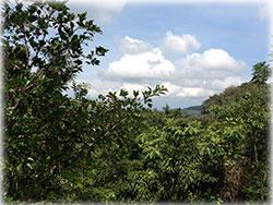 costa rica real estate, for sale, atenas real estate, cosat rica mountain properties, mountain view, mountain property, residential lots, investment opportunity in costa rica, 