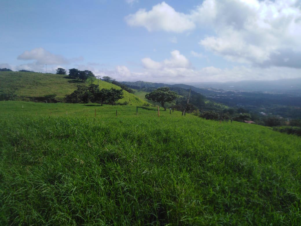 Three Quintas in San Ramon with views to the Central Valley mountains and the Nicoya Peninsula